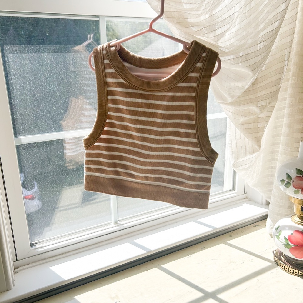 Striped Brown and White Crop Top